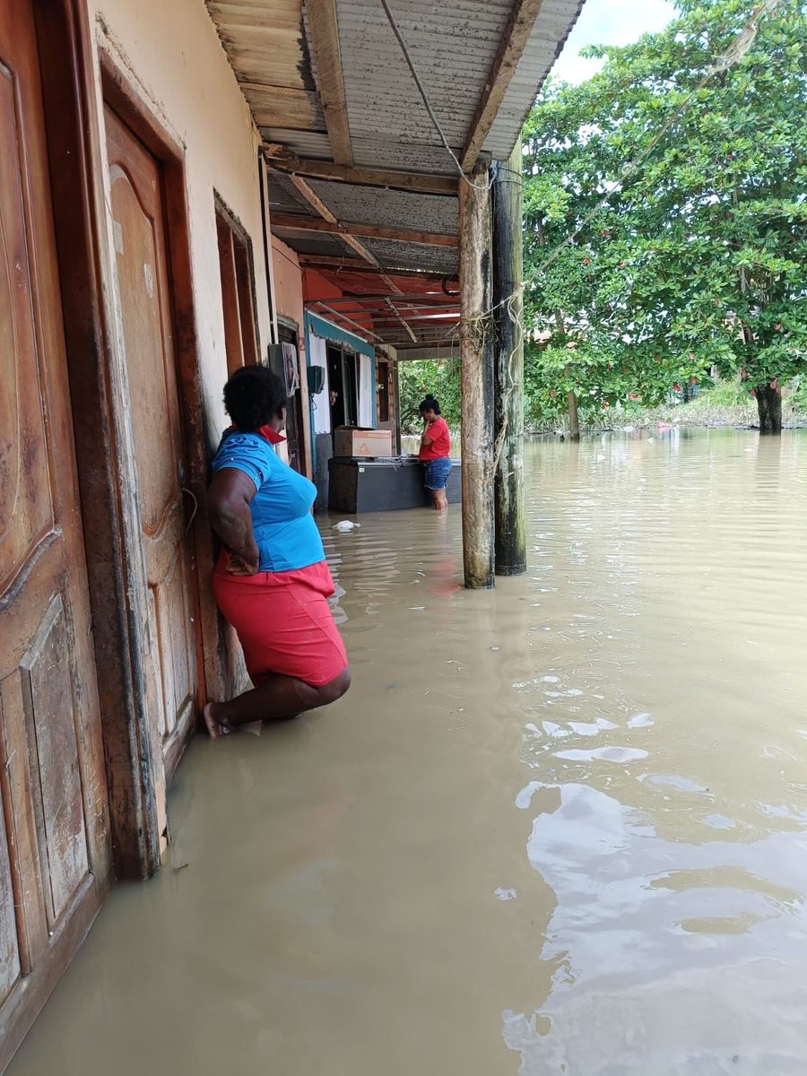 JamesMosqueraT's tweet photo. #Urgente 🚨 | El agua no solo sube… está arrasando todo a su paso.

Casas destruidas, cultivos perdidos, animales buscando refugio. Familias enteras tratando de salvar lo poco que les queda.

@petrogustavo 
@UNGRD 
@UnidadVictimas 
@MinInterior 
@AgenciaTierras 
@cruzrojacol https://t.co/Vx4gFqQeqt