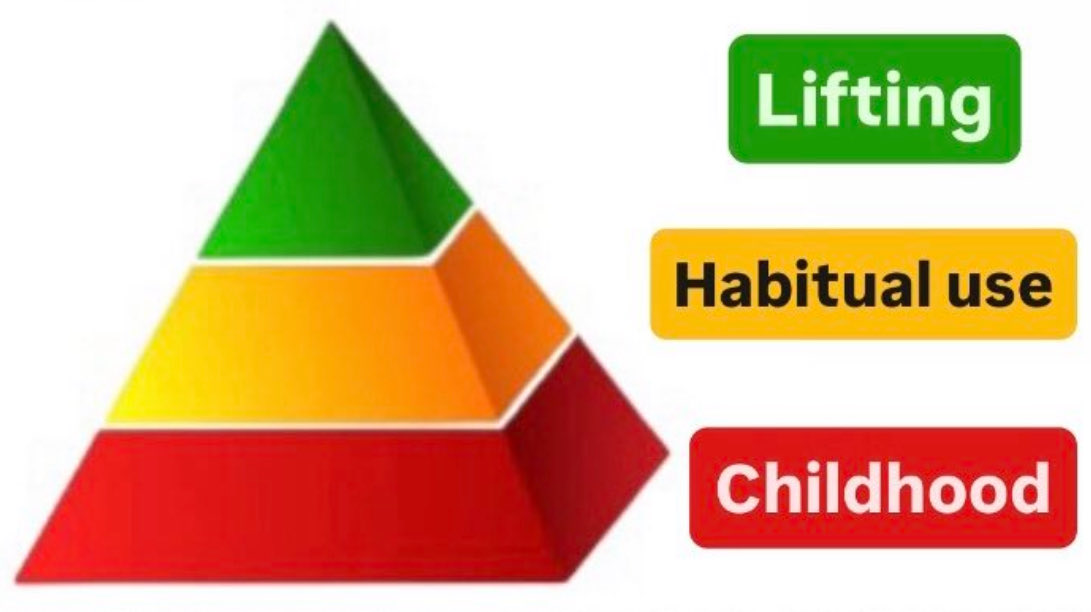 Tendon Development:

1) Childhood. Tendons are mostly built from millions of strains at ages 0-17.

2) Habitual use. Lead leg patellar tendons in badminton players and fencers are 1.25 bigger and stiffer than rear leg patellar tendons.

3) Lifting. Straining a tendon with