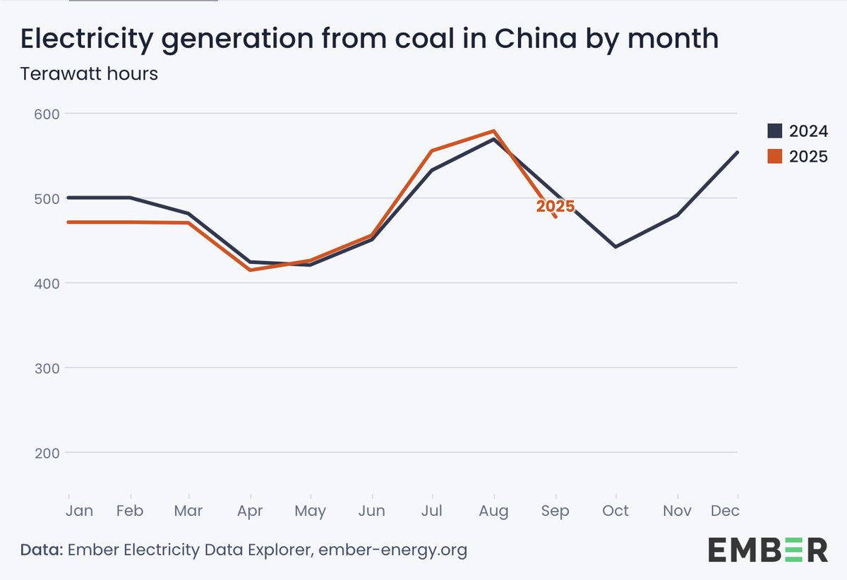 Nicolas Fulghum tweet media