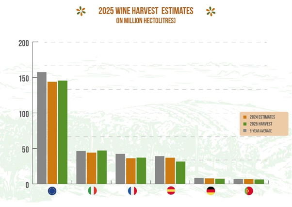 COPACOGECA's tweet photo. 🍇 #EUwine 2025: A fragile recovery with 145.5M hl (+1%), but still 7.5% below the 5-year average & a staggering 40M hl less than 2018. Extreme weather - droughts, floods, wildfires - devastated vineyards in some member states, while tariffs & weak demand squeezed margins.
🇮🇹 Italy leads with 47M hl (+8%), followed by 🇫🇷F rance 37M hl (+2.3%). But 🇪🇸 Spain (31.5M hl, -15%), 🇩🇪Germany (-8%), and 🇵🇹 Portugal (-11%) face declines.
“The 2025 harvest highlights just how challenging conditions remain. Our vineyards often face circumstances that are far from ideal. Yet, in many cases, producers have managed to reverse the recent downward trend. Across Europe, winegrowers are delivering exceptional quality, demonstrating remarkable dedication and resilience in the face of numerous challenges.” Luca Rigotti, Chair of @COPACOGECA working party on wine.