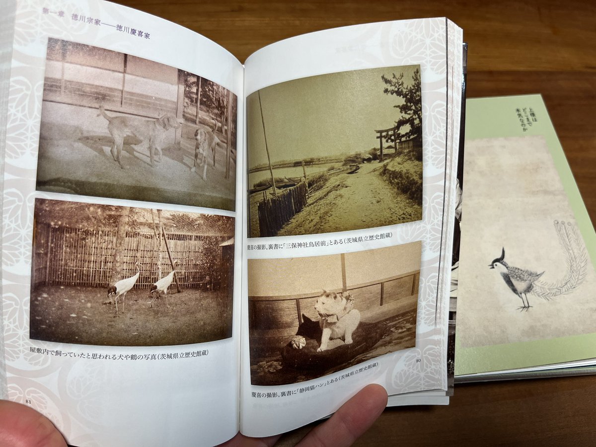 コジコジのさる on X