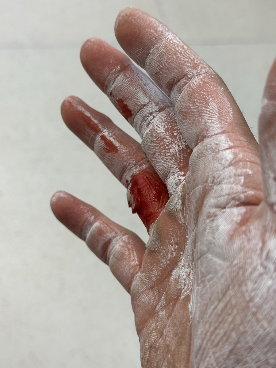 Bleaker（秋招版 tweet media