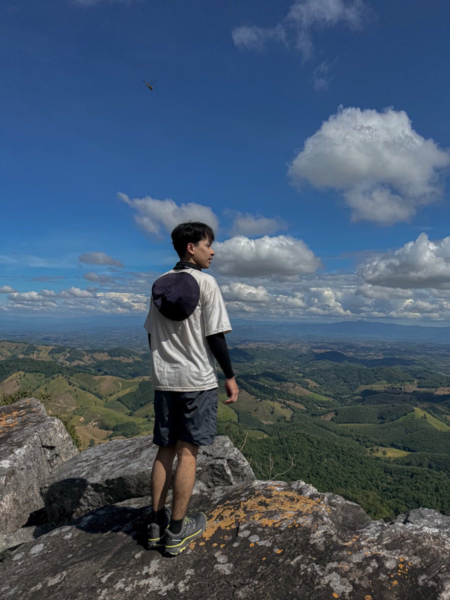 แมวดำ tweet media