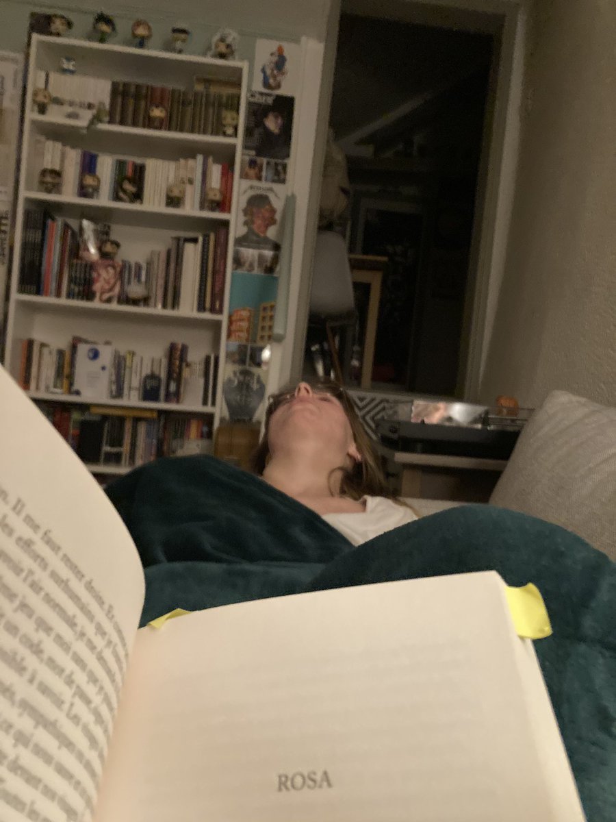 stupide_poete's tweet photo. this is what life is like in our apartment :-) https://t.co/FJXsup2Fly