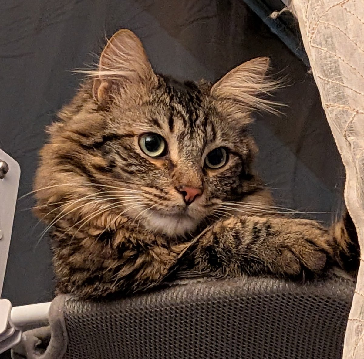 Stream dans 30 mins pour le Set &amp; Reset, et aussi discuter un peu de ce mois d'octobre qui a été très occupé !

twitch.tv/juniorleo

(Photo non contractuelle)