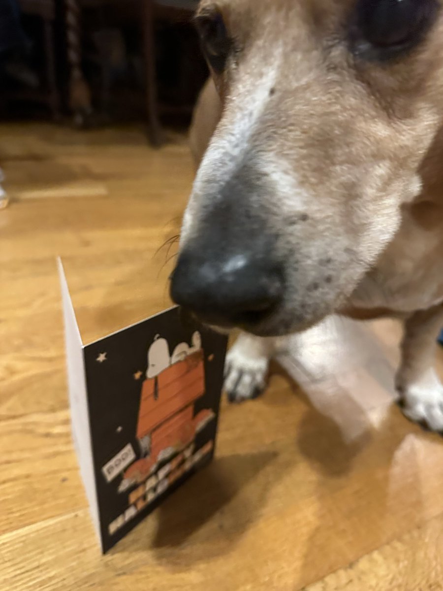 Happy Halloween week to you too, Ellen!