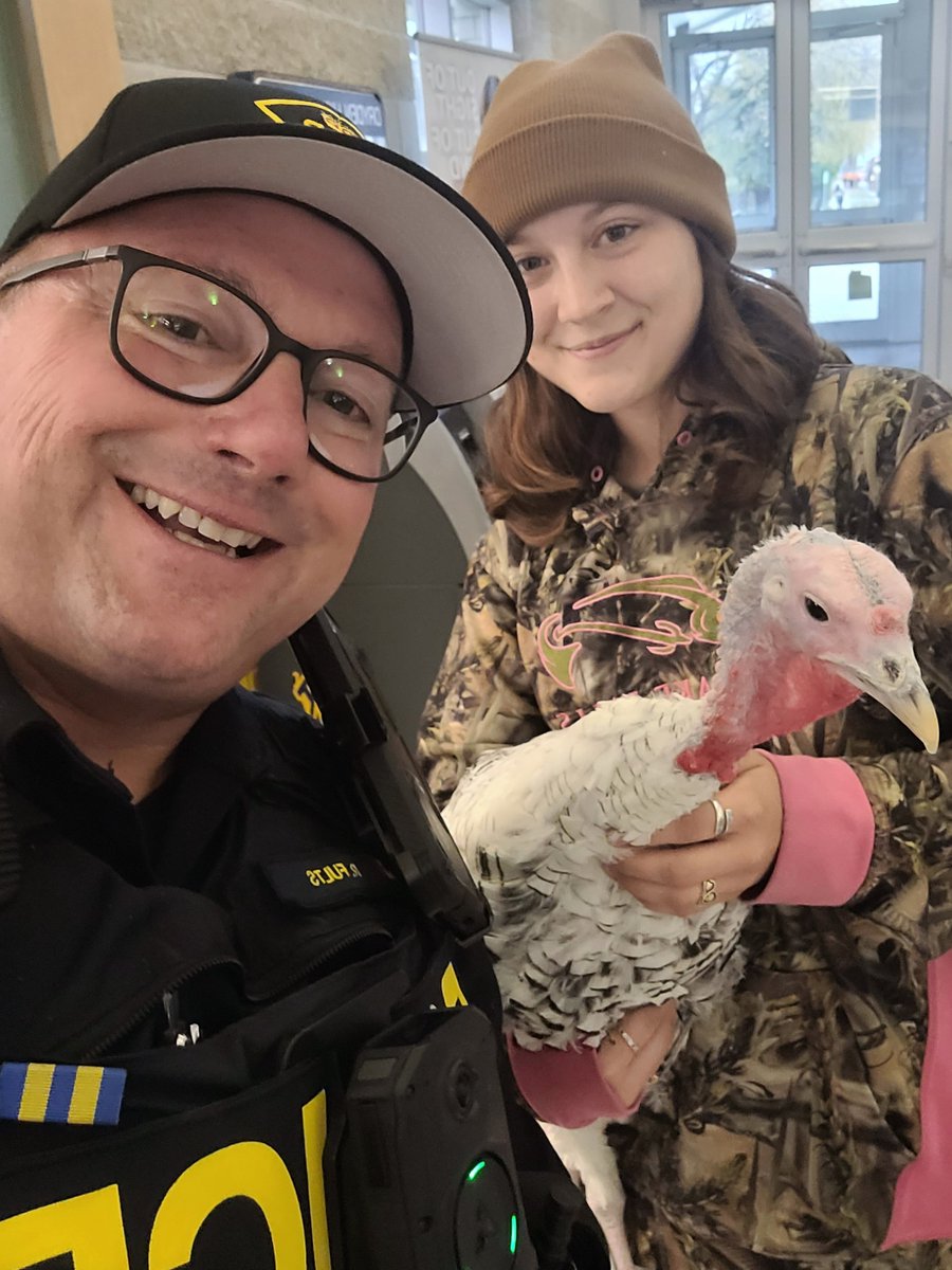 Just another normal day for #DrydenOPP Constable Fults… until Dryden High School said, “Hold my gravy.” The surprise guest? A turkey named Christmas. Because nothing says law enforcement like poultry in a hallway. ^rf
--
Une journée comme les autres pour l'agent Fults de la