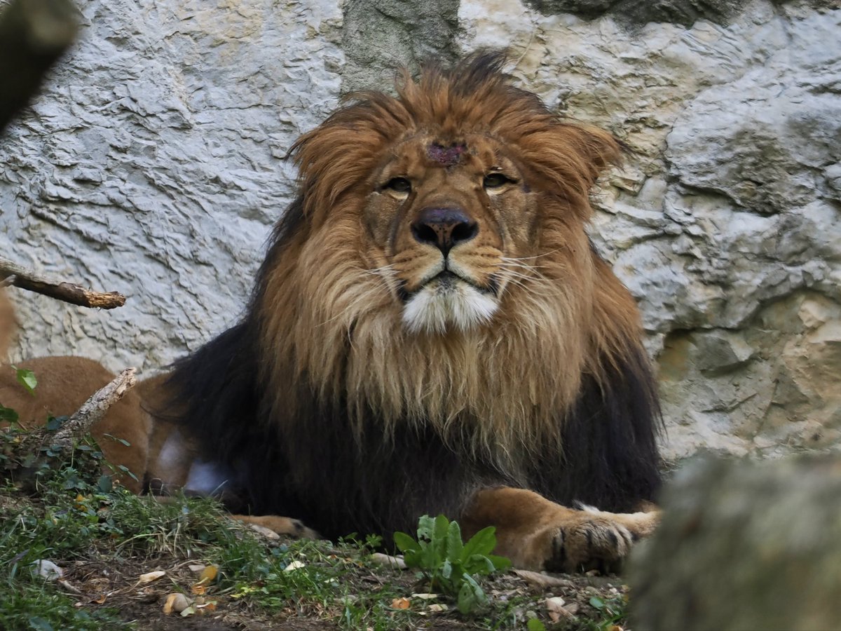 KISARAGI（如月） (@w45852) / Posts / X