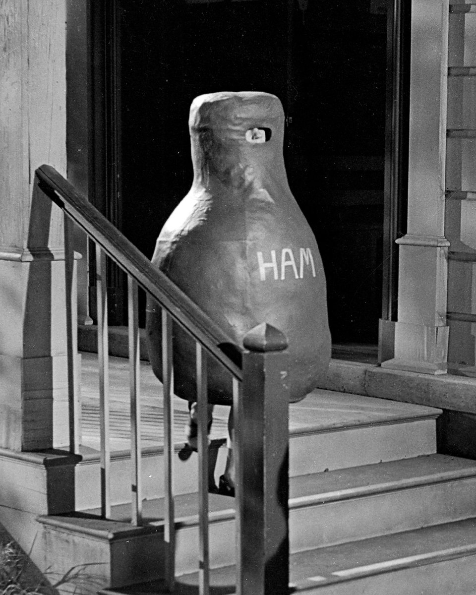 Not enough kids go as ham for Halloween.
🎬 To Kill A Mockingbird (1962)