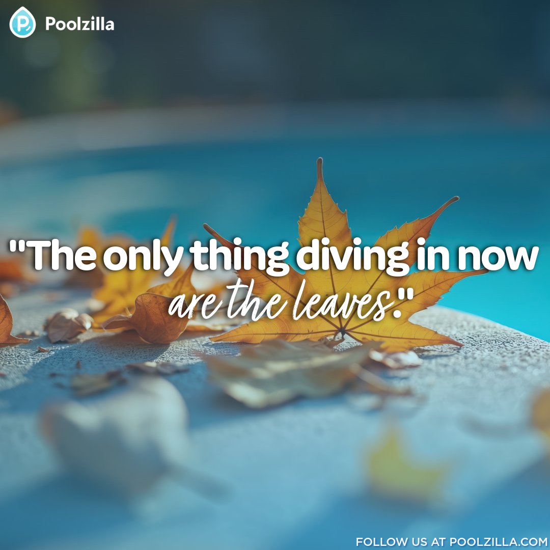 poolzilla_us's tweet image. 🍁 The only thing that should fall in your pool right now is the leaves - not your water quality.

🧩 Cover Anchors - keep your cover snug and secure all season
⚙️ Springs &amp;amp; Hardware - no covers flapping in the wind!
🧰 Installation Tools - make setup a breeze
🔑 Hex Keys &amp;amp;…