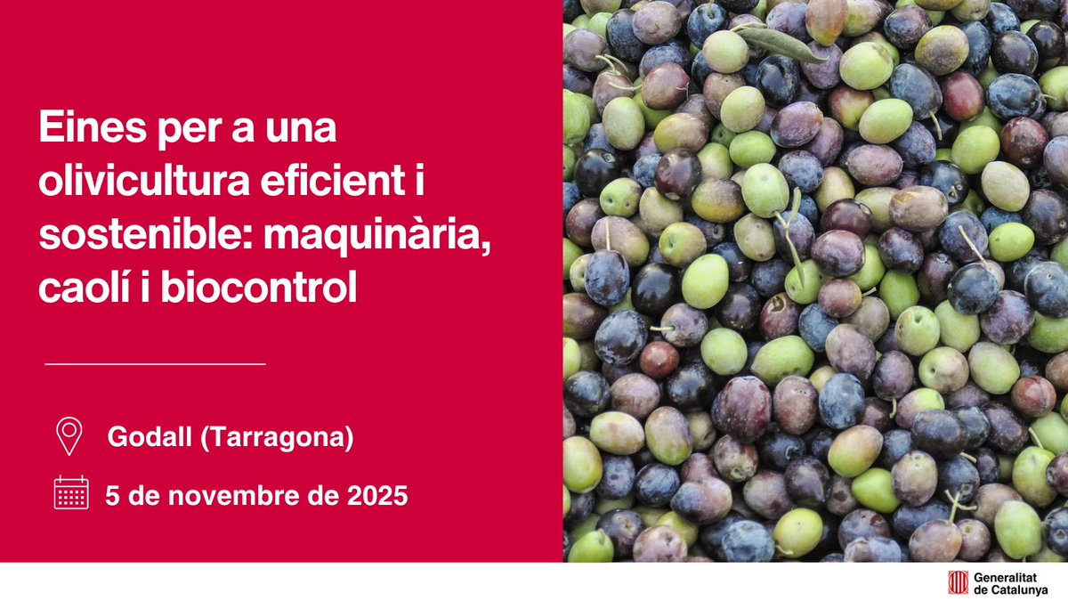 Aquesta jornada oferirà una visió sobre com la maquinària, el caolí i el biocontrol poden millorar l’eficiència de les explotacions i reduir l’impacte ambiental per fer front als reptes de l'olivicultura.

👉Més informació: transferencia.irta.cat/activitats/ein…

#TransferènciaIRTA #PATT2025