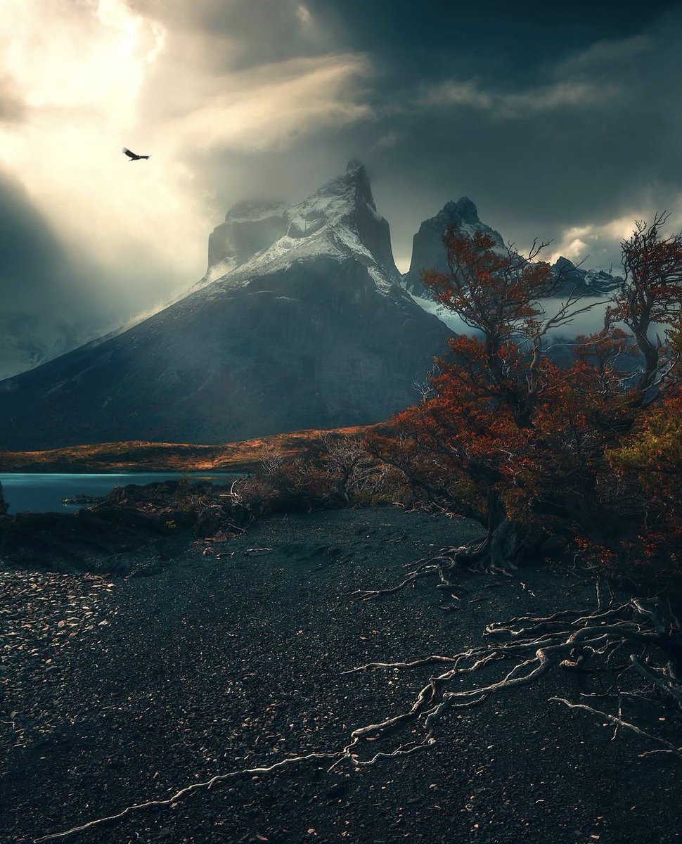 earthcurated's tweet photo. Patagonia 🍂 https://t.co/A6XU52ayYd