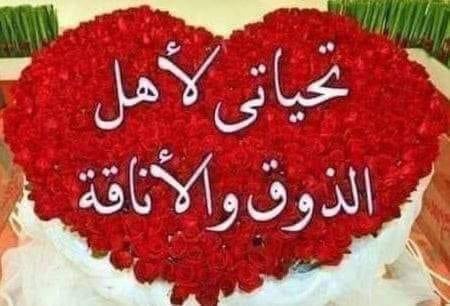 rabee88998's tweet photo. @rabee88998 https://t.co/qqrJEa3QIY