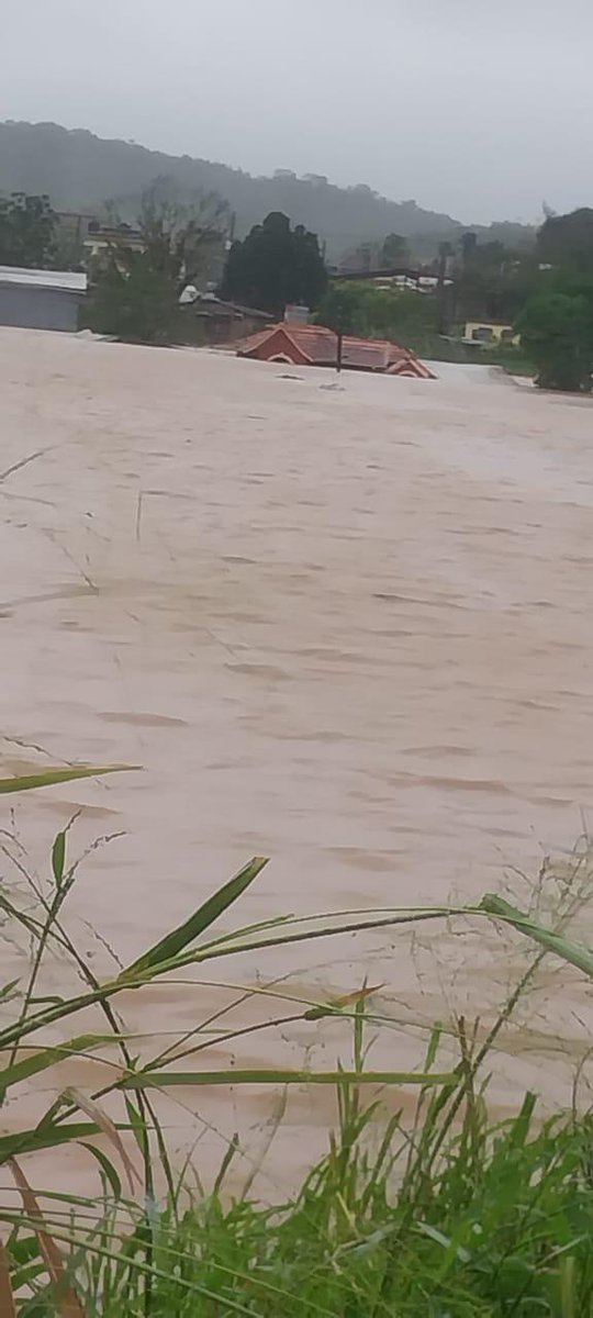 GiovanniRDennis's tweet image. Cave valley, St Ann

House Submerged

#TrackingMelissa #HurricaneMelissa #Jamaica @CVMTV