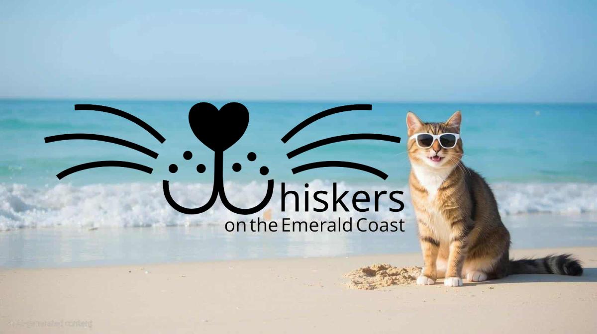 #fwblibrary is hosting a #CatCafe on November 15th at 10 AM! "Check out" adoptable cats from Whiskers on the Emerald Coast. There will be #cats to meet, snuggle, and #adopt! For more information, contact Dawn Fallon at cats@whiskersemeraldcoast.com!