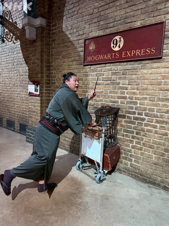 SUMOWORLDPICS's tweet image. #sumo