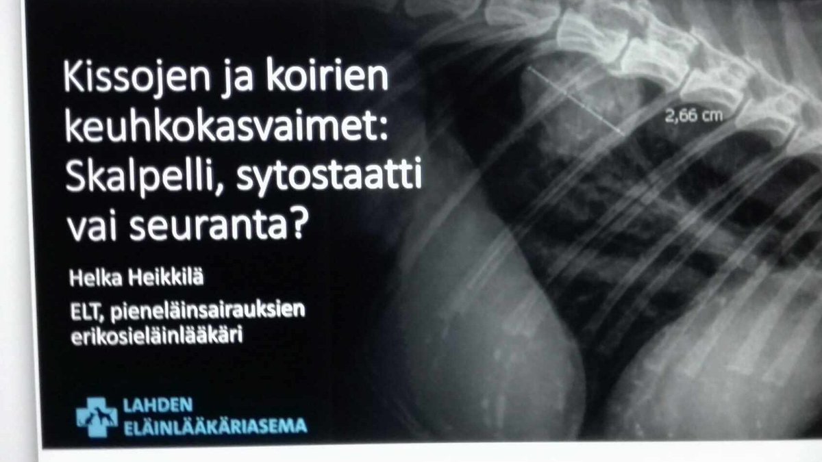 Kollegailta.
Monia aiheita. Kuvassa yksi aihe. 

Kiitos Lahden Eläinlääkäriasema. 🌹❤️