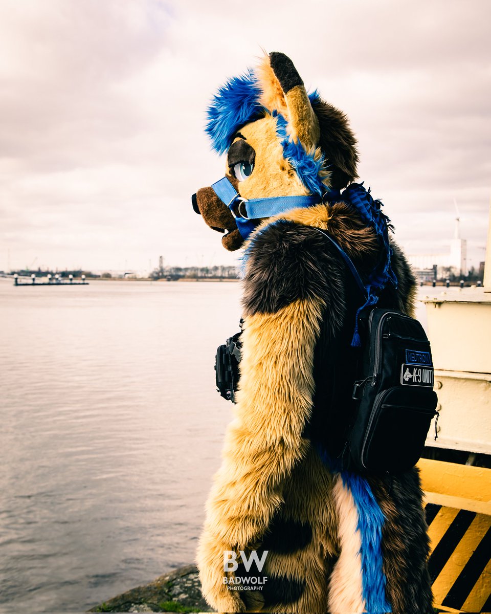 Im so devastated to hear the news about my friend and colleague <a href="/PUPNEUTRON/">PUP NEUTRON</a> You were a bright light in our community and it simply won't be the same without you.

Sleep well my friend, I will always remember the joy and kinship you brought with you. Until we meet again. 🖤🖤🖤