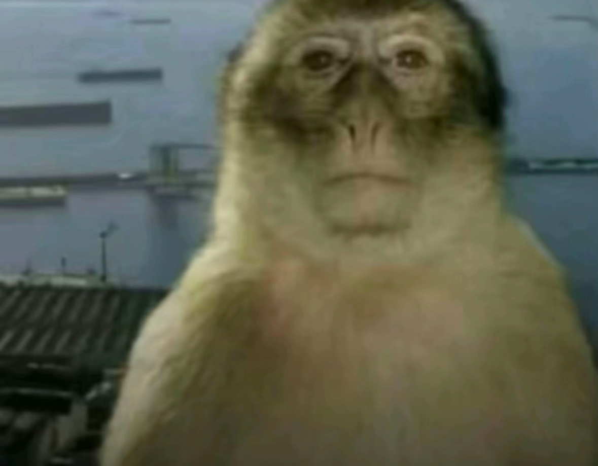 offworldreal tweet picture