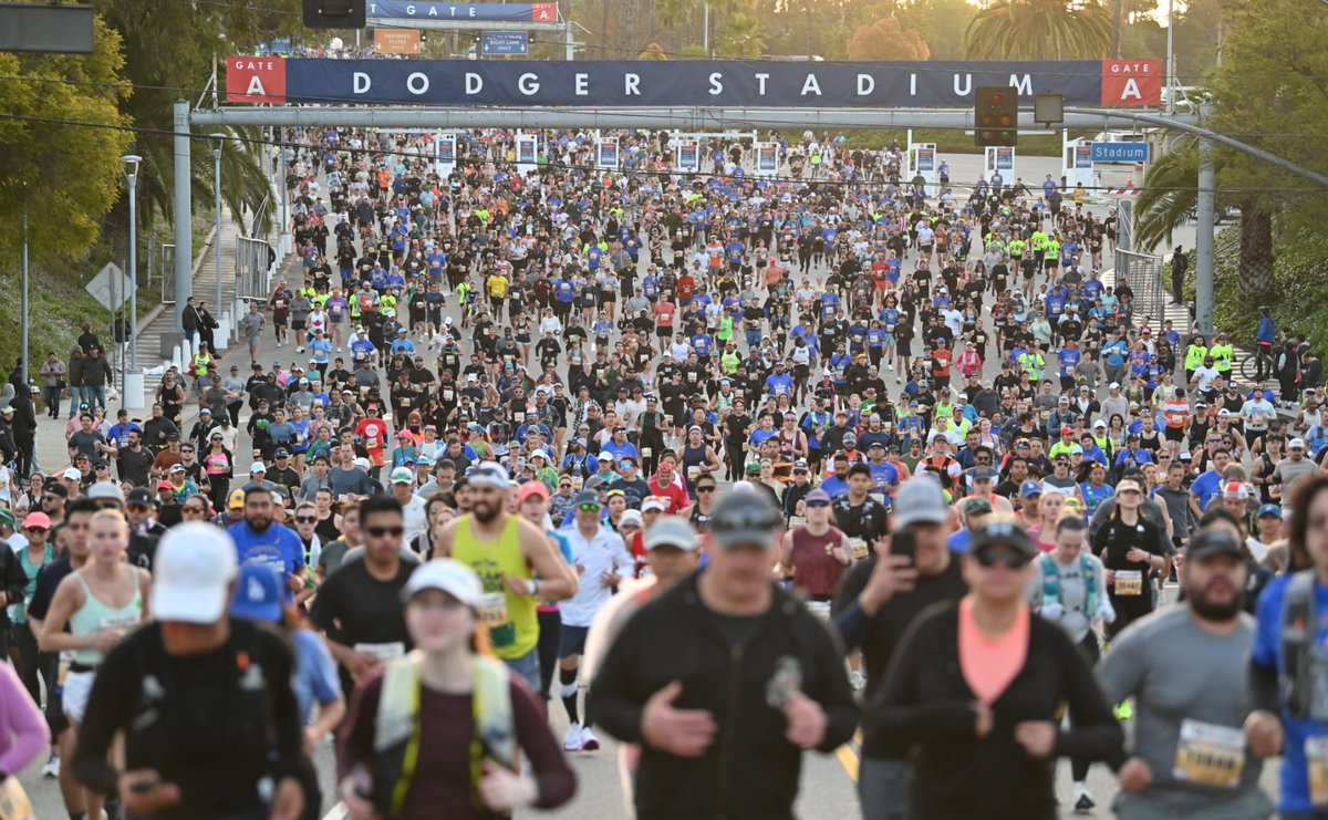 wildtomorrow's tweet photo. 🌴 Wild Tomorrow is an official charity partner of the 2026 @LAMarathon! 🏃‍♂️ Join Team Elephant on Mar 8, run iconic LA sights from Dodger Stadium to Hollywood &amp; Beverly Hills, and help protect African wildlife 🐘💚 Apply: https://t.co/hM8ZJjER4s
 #LAMarathon #Conservation https://t.co/L49MJwKukA