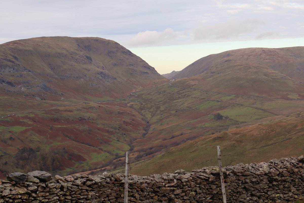 Matt 💫 tweet media