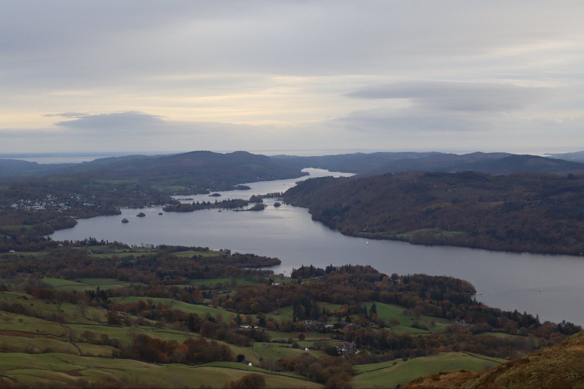 Matt 💫 tweet media