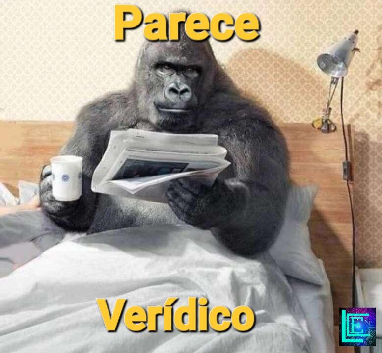 FredLechner86's tweet photo. @heldermaldonado https://t.co/In5BAVE5vZ