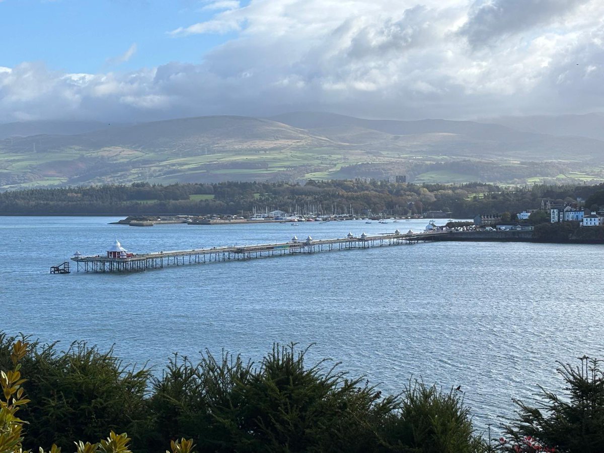 Maxlight tweet media