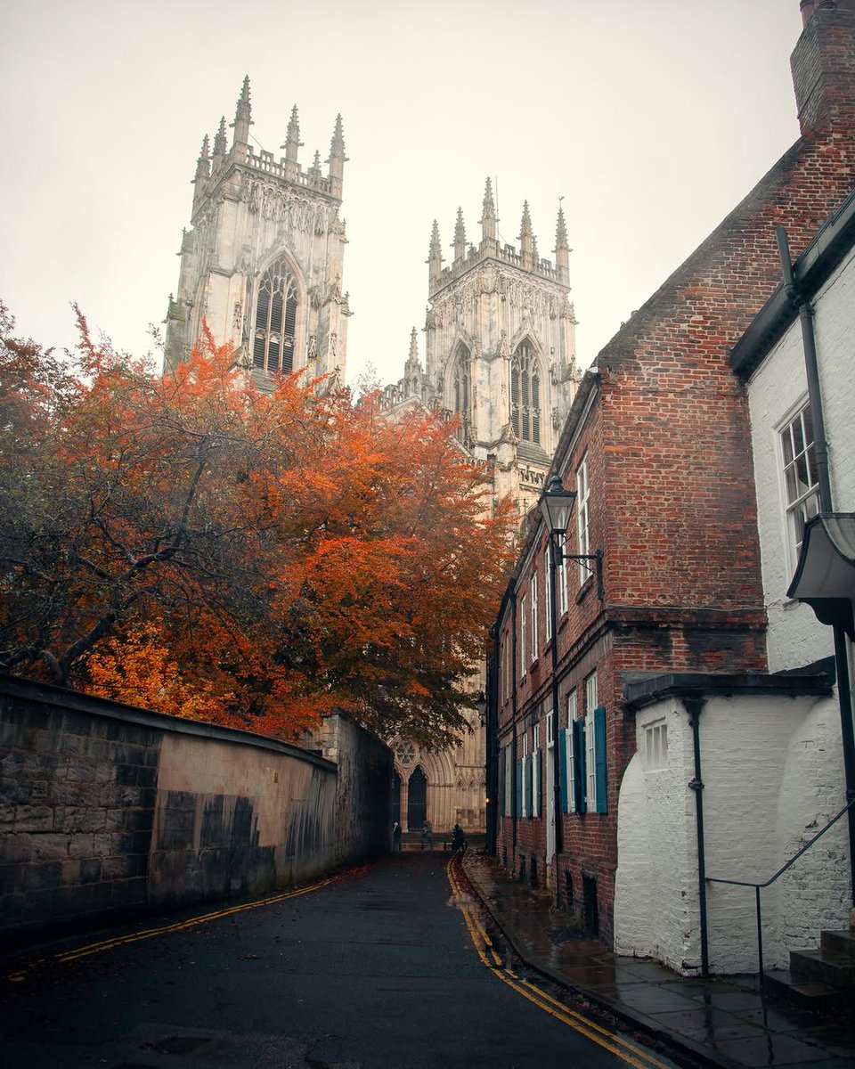 York 🍁
