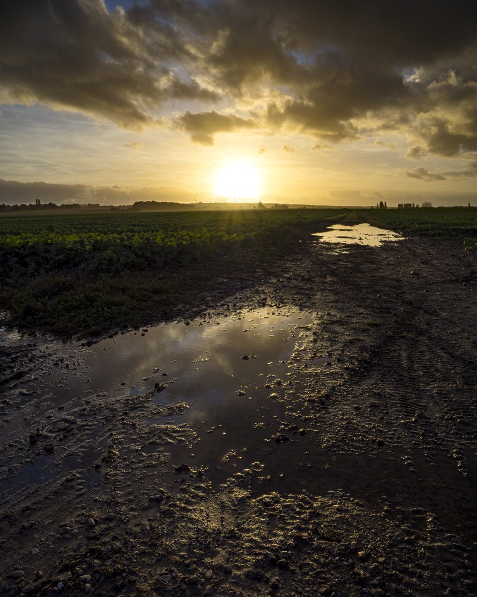 ☄️🌌🔭 ✖️Dam ⚡🌱🐙 tweet media