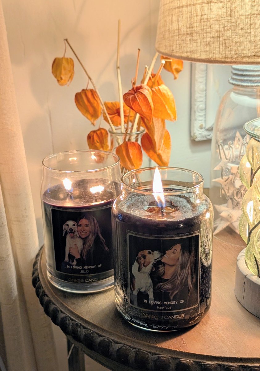 JelloBeagle's tweet image. Our ofrenda ❤️‍🩹 and yes those are underpants 👙 #iykyk #DiaDeMuertos #october27 🐶🐶