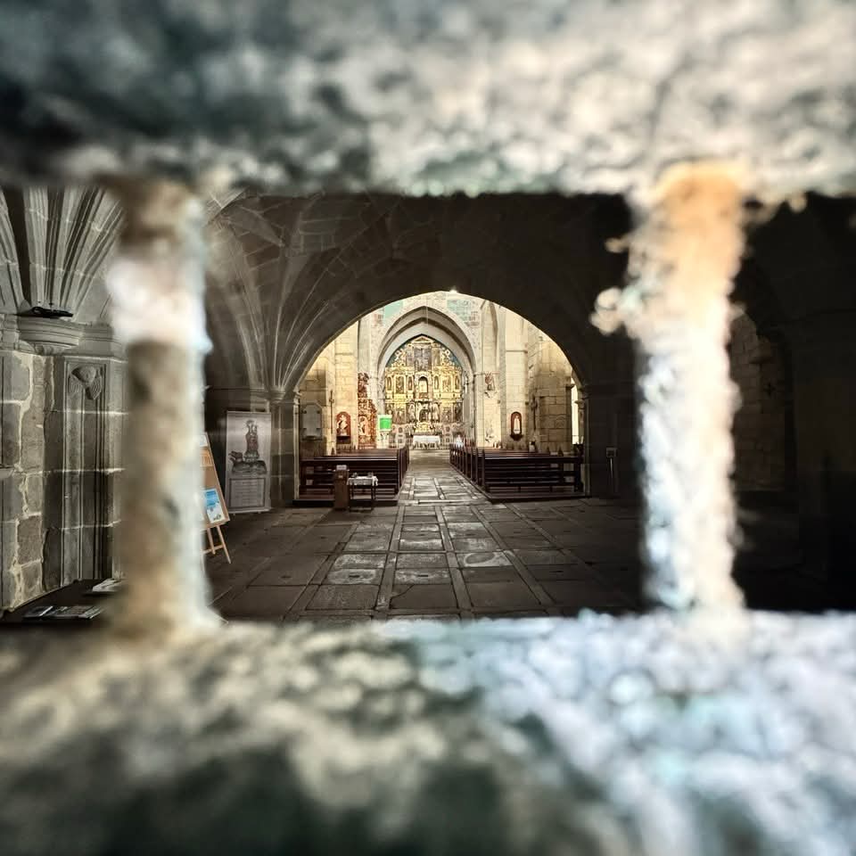 Jeff Schultz tweet media