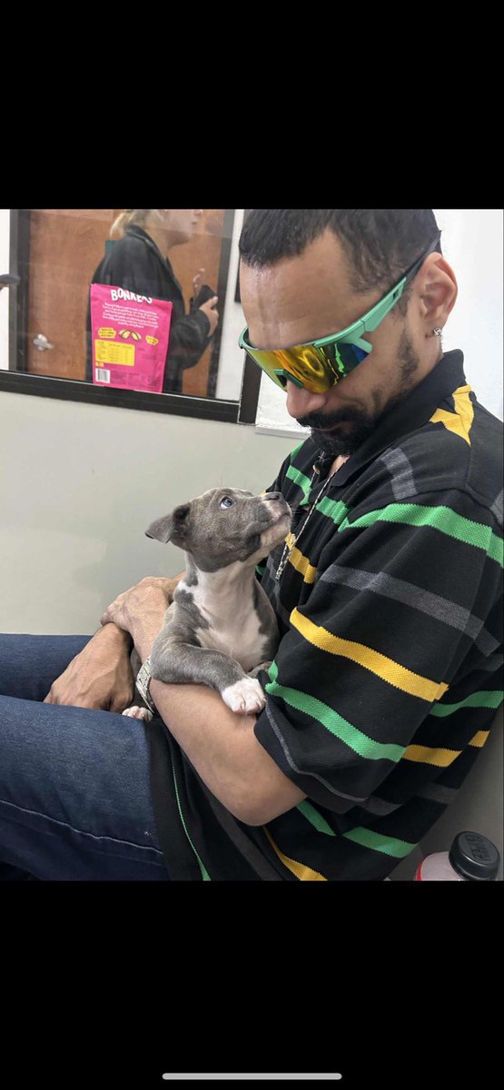 MrsAllison88's tweet photo. Welcome to the family Crypto! https://t.co/2cnVnuH97X