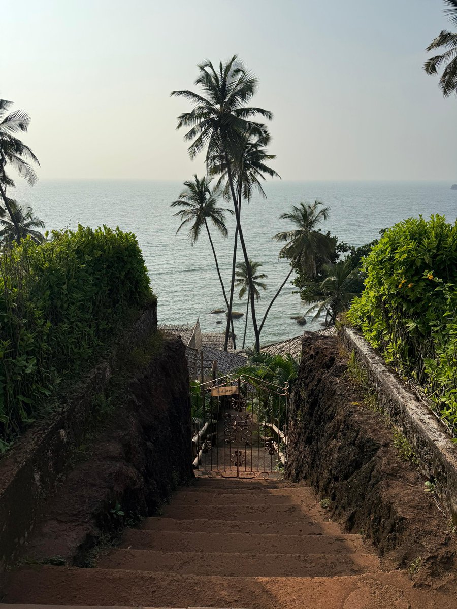 deepjoshii's tweet photo. 🏖 https://t.co/CWC1j8jcr0