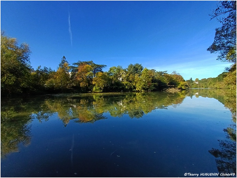 Clichés49 tweet media