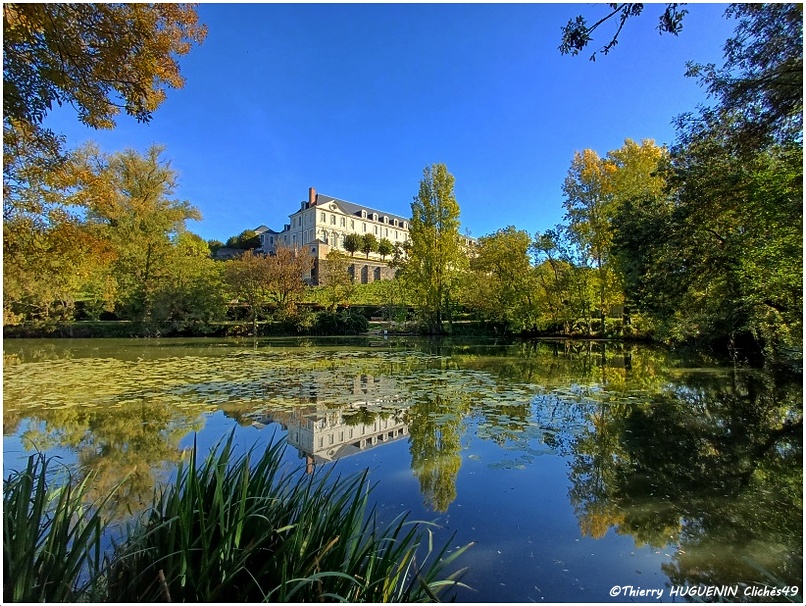 Clichés49 tweet media