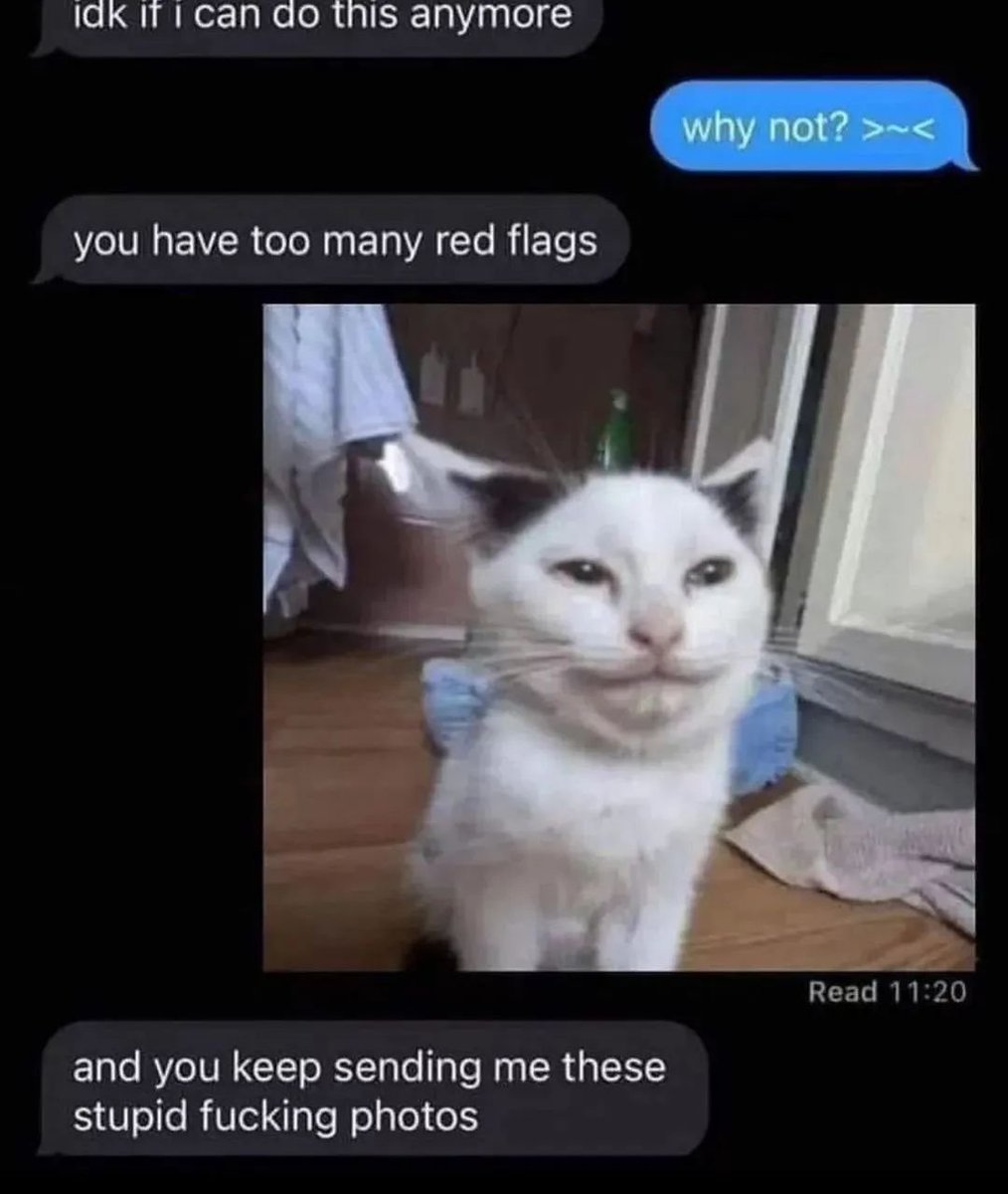 Punch Cat (@punchingcat) on Twitter photo 