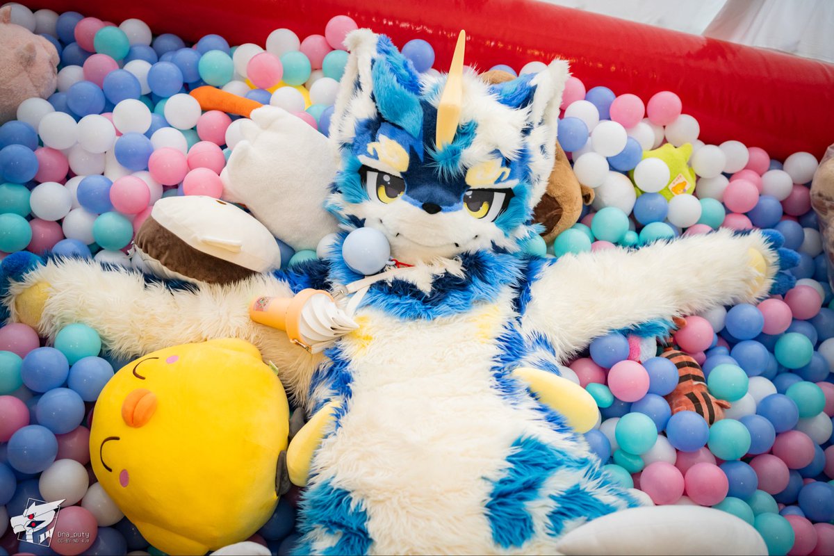 归归～ tweet media