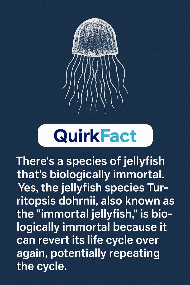 Hirinjuwon's tweet photo. Meet the jellyfish that refuses to die 🪼 The Turritopsis dohrnii can reverse its aging process and start life all over again. Nature’s real-life immortal! https://t.co/Z0EX6AAsgQ