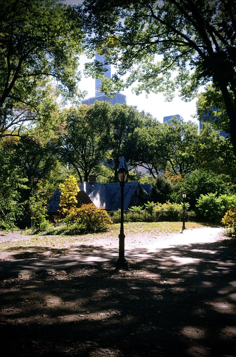 Antonio 🇵🇷 (@boyingenes) on Twitter photo 