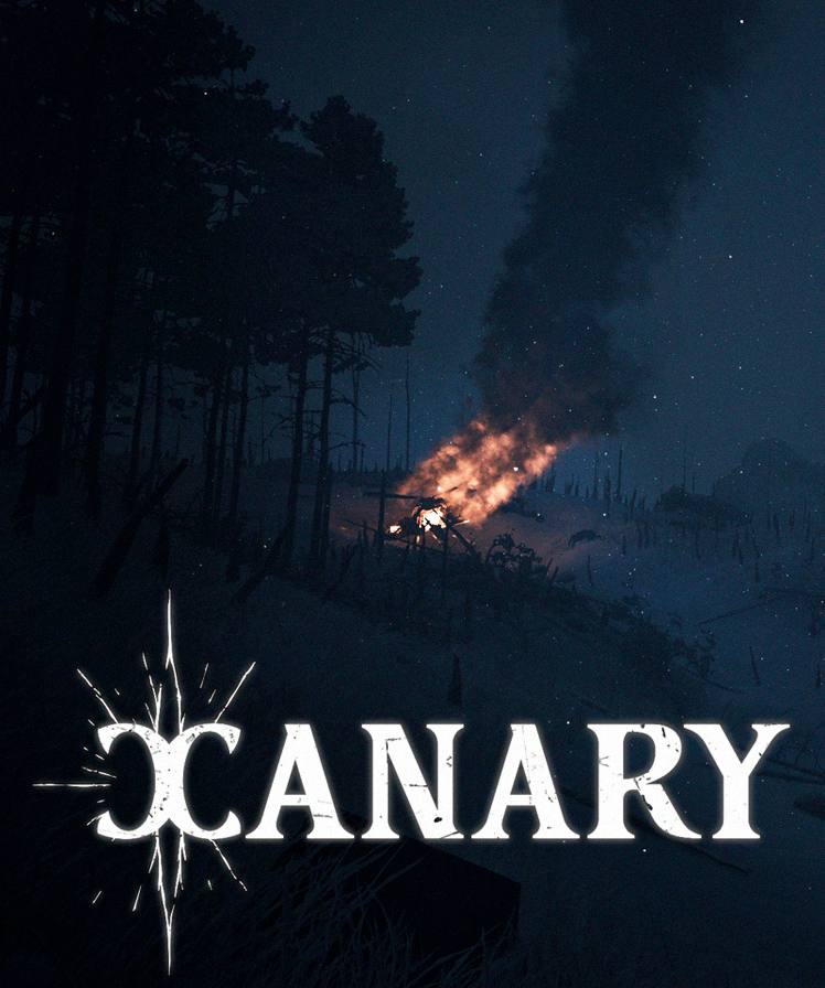 Higgs Studio - Canary Wishlist Now! tweet media