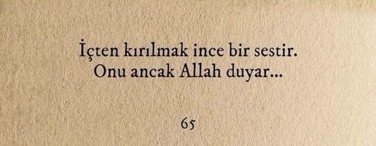 ayaserenat's tweet photo. https://t.co/BVelesVr6H