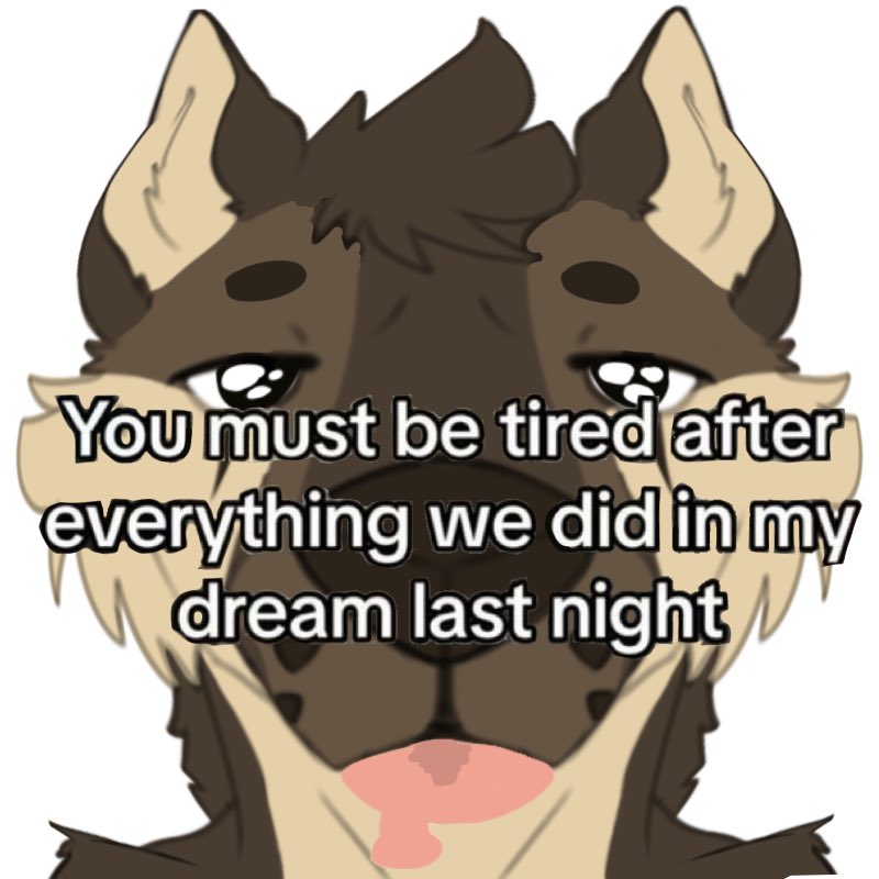 Coobs 🌵 🔜 TFF tweet media