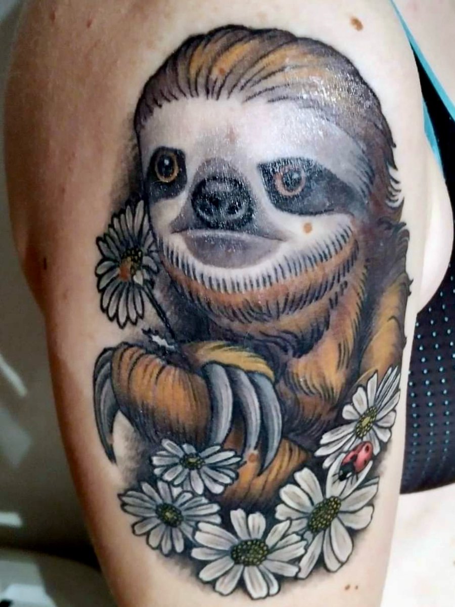 laufmaedel's tweet photo. So, und hier der Rest.
Diverse gemalte Faultiere von Künstlern und Künstlerinnen .
Und natürlich braucht eine Faultier Liebhaberin auch ein passendes Tattoo. 😁
#Slothlovers #sloths https://t.co/3PsVkBKa3z