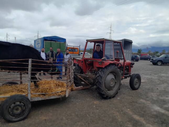 Bóthar Charity Ireland tweet media