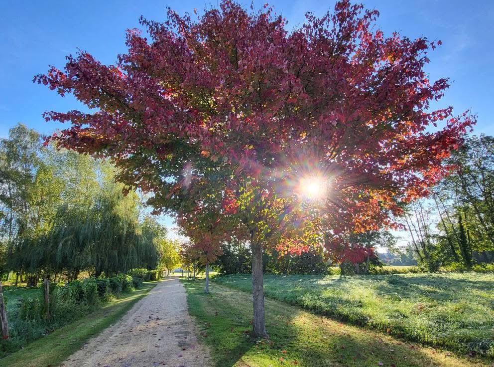 Maroussia tweet media