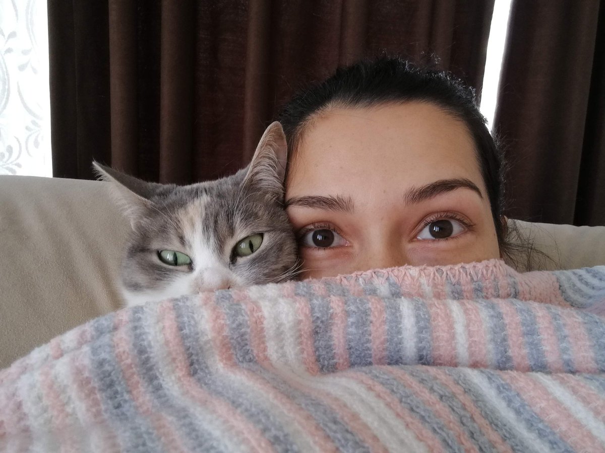 cylninci's tweet photo. Bir kediyle olan en ikonik fotoğrafım https://t.co/3bET3NHHPD
