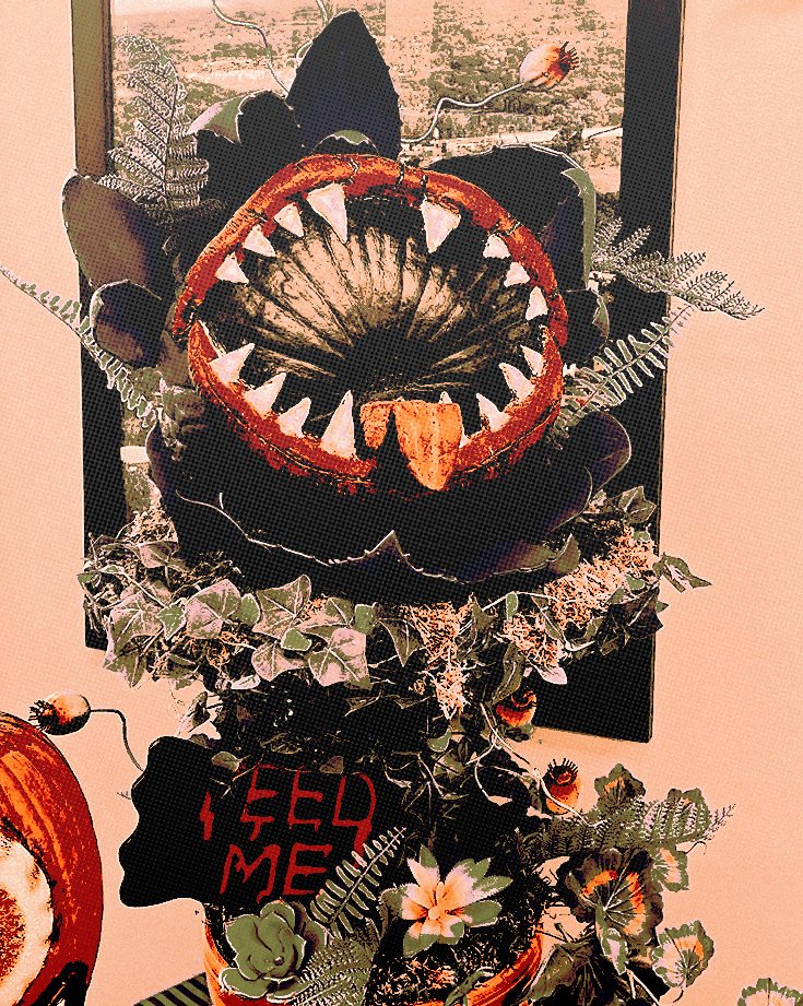 ——Su personalización no era como la de los demás. Era grande, con adornos y cartón, papel maché que hizo a prisa y corriendo y gomaespuma. Había querido replicar la planta carnívora tan legendaria y, como artista, le había añadido detalles de más. Estaba orgulloso de +