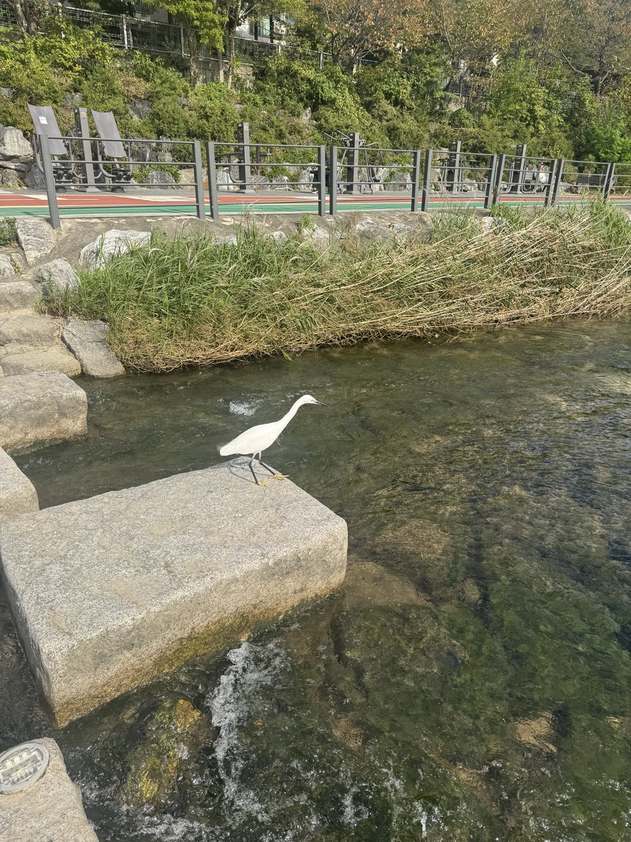 yoon2391's tweet photo. My hometown https://t.co/gQ85wXHQVR
