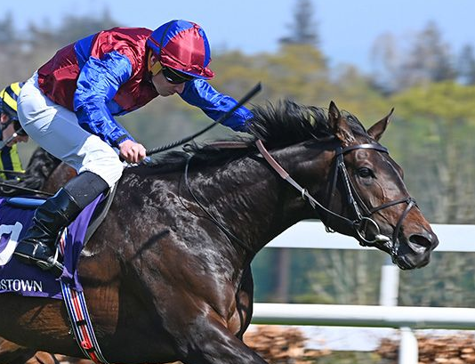 Stay True from the last crop of Galileo heading down under 

Purchased by Archibald Racing who are an Australian thoroughbred training partnership between Annabel Neasham and Rob Archibald, combining Annabel’s successful racing operation with Rob’s horsemanship and international